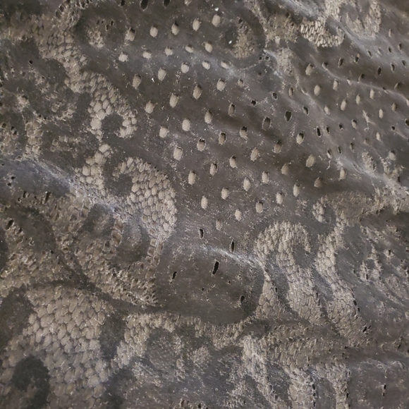 Free People/Walk This Way Black Crop Top - Picture 9 of 12